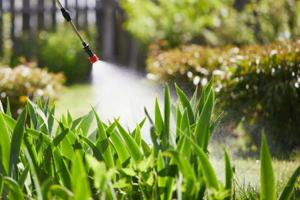 24/7 Emergency Termite Control experts in Lockeford, CA